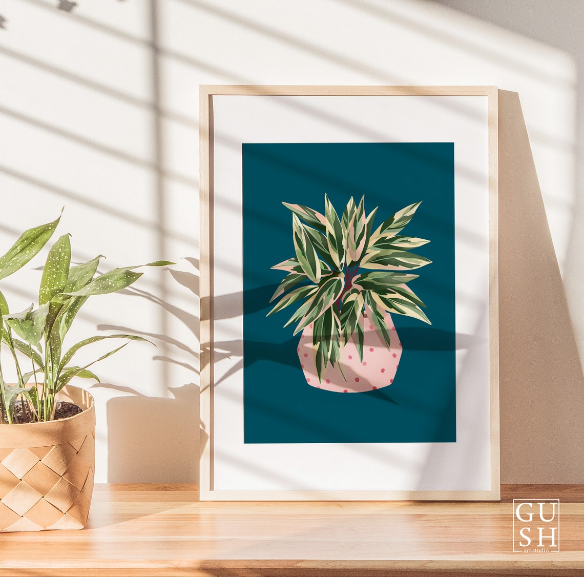 Variegated Calathea Print Pink Dotted Pot Deep Teal Background - Image 2