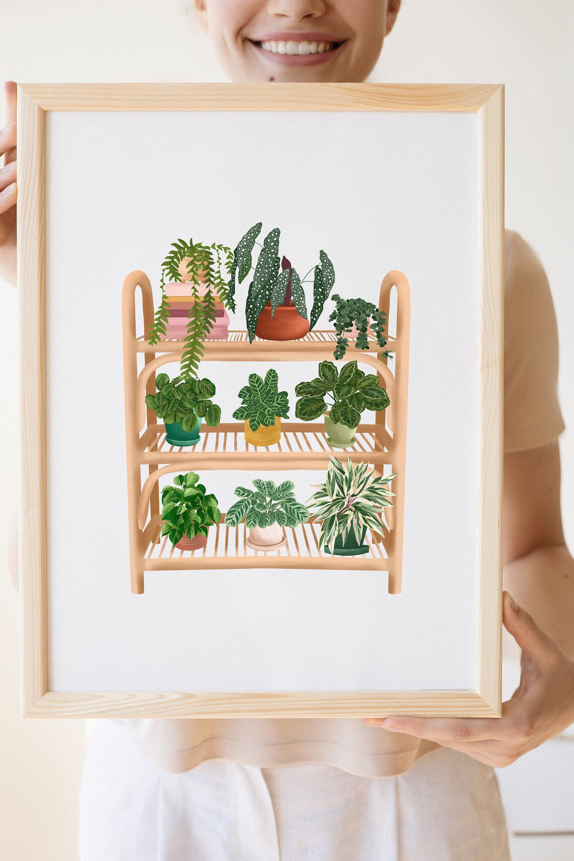 Indoor Plants On A Wooden Rattan Shelf Botanical Illustration Poster - Image 2