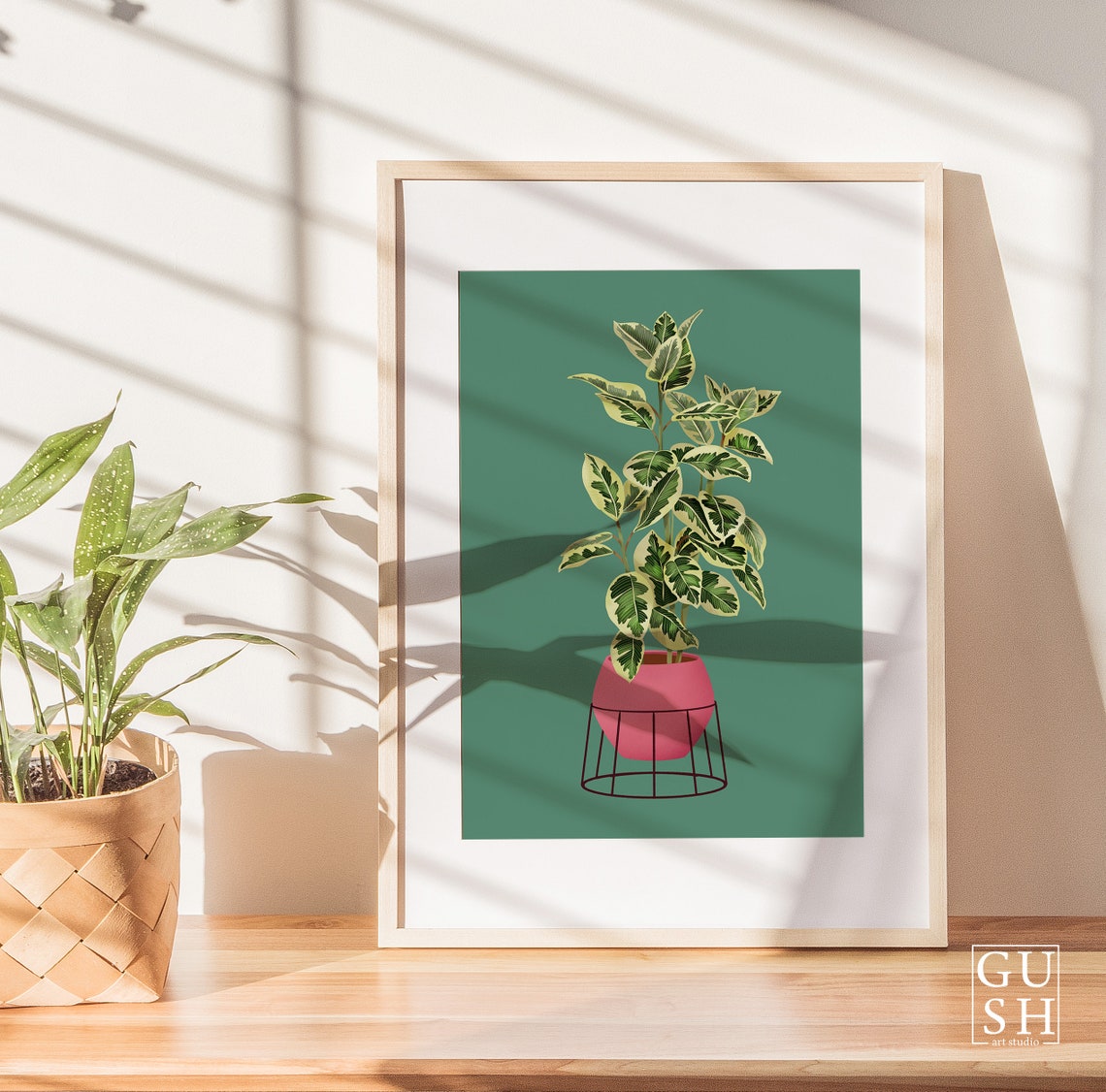 Variegated Rubber Plant Print Pink Pot Deep Green Background - Image 2