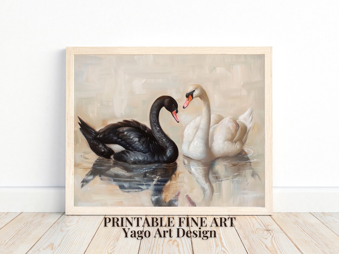 Black and White Swans Face to Face Elegant Oil Painting Poster
