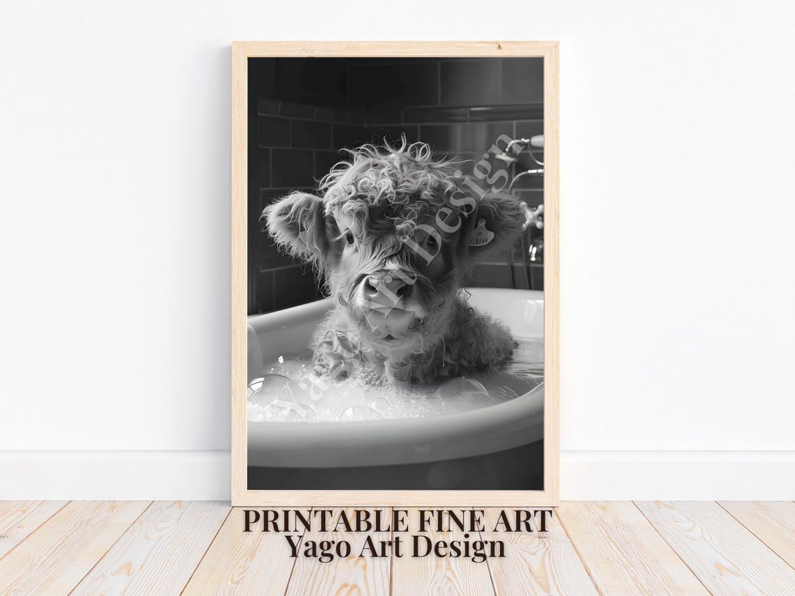 Highland Cow Calf Bubble Bath Black White Farmhouse Cute Poster