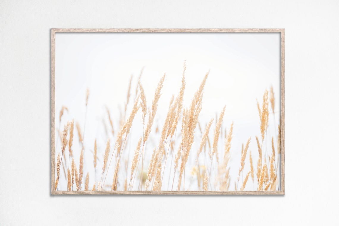 Golden Wheat Grass on White Minimal Rustic Farmhouse Photo Poster