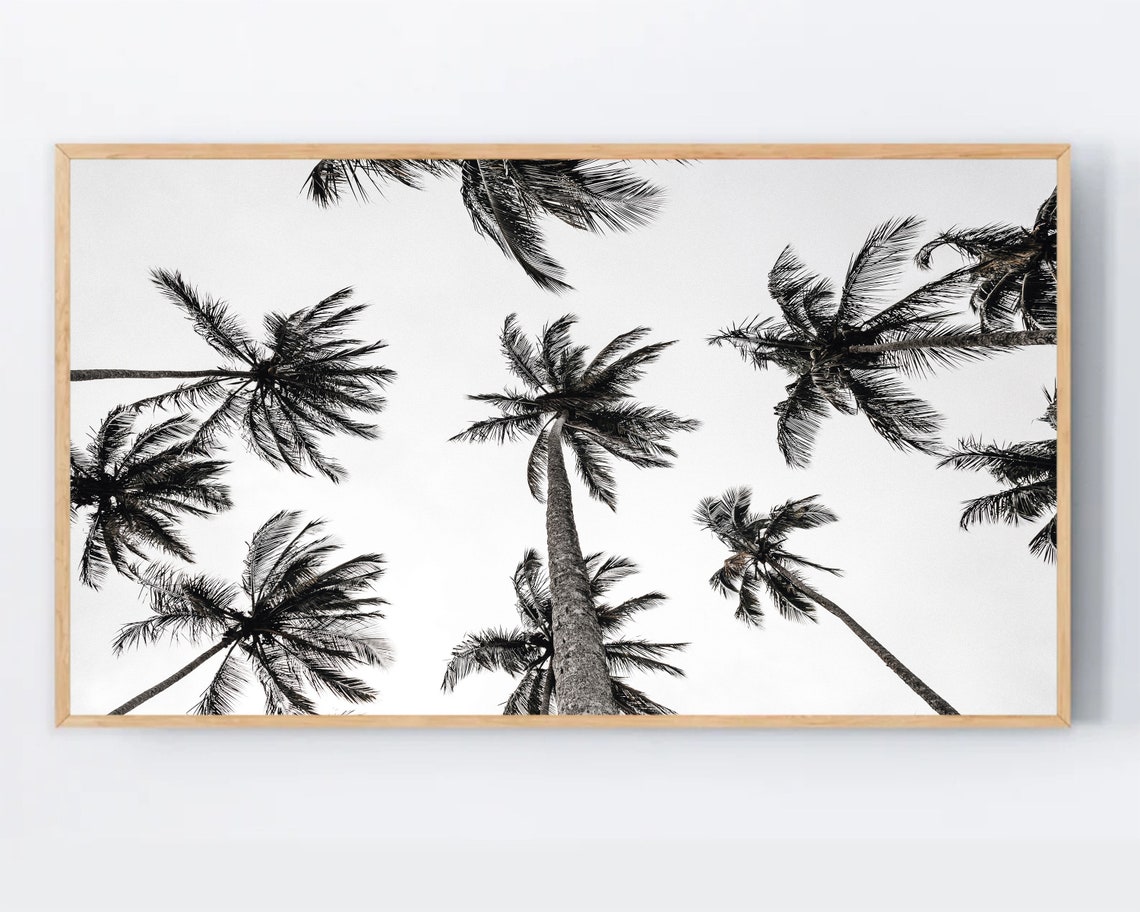 Black And White Palm Trees Viewed From Below Tropical Photo Poster