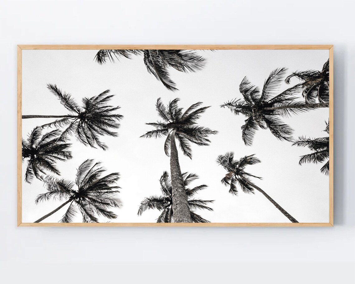 Samsung Frame Tv Art Palm Trees Modern Black And White Wall La Tropical Print For