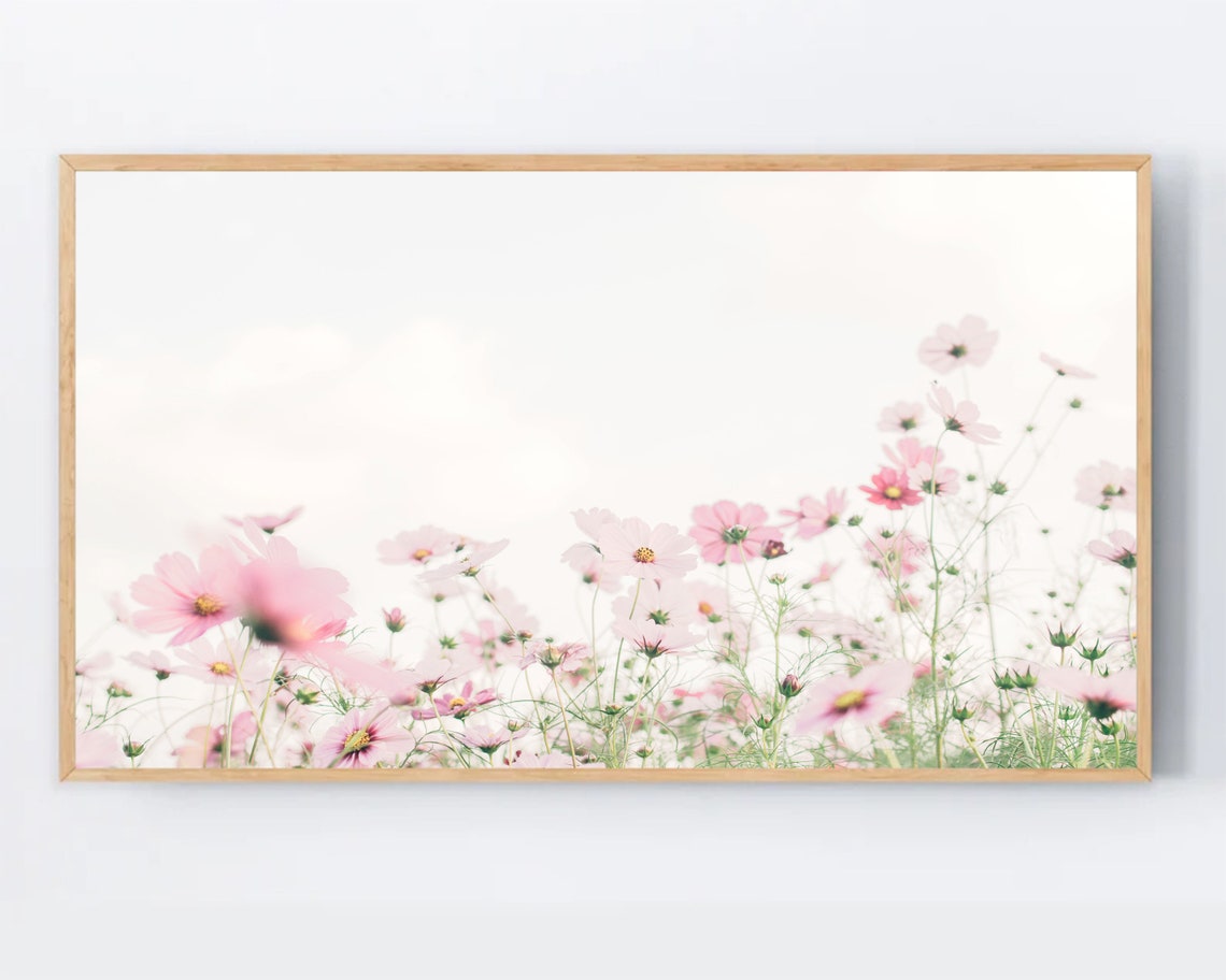 Pink Cosmos Flowers Wide Panoramic Floral Photography Poster