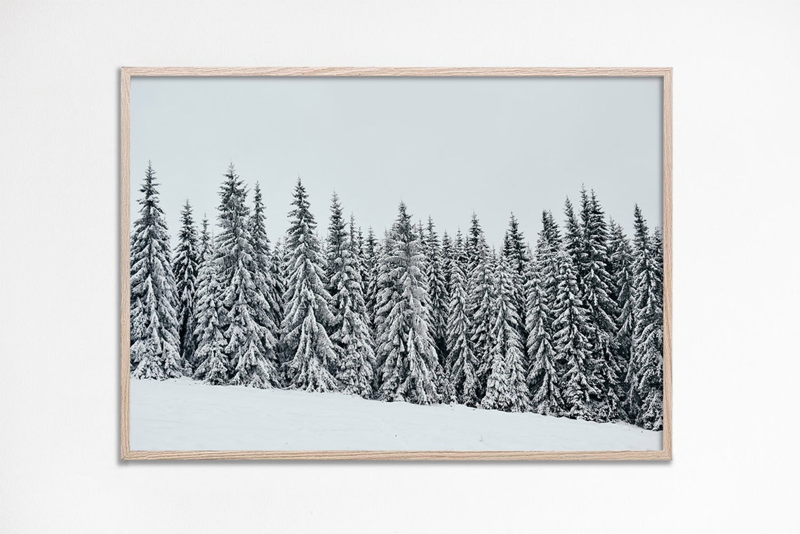 Snow Covered Winter Pine Forest Minimalist Photography Poster