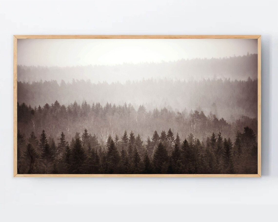 Misty Pine Forest Layers In Fog Neutral Photography Winter Woodland Poster