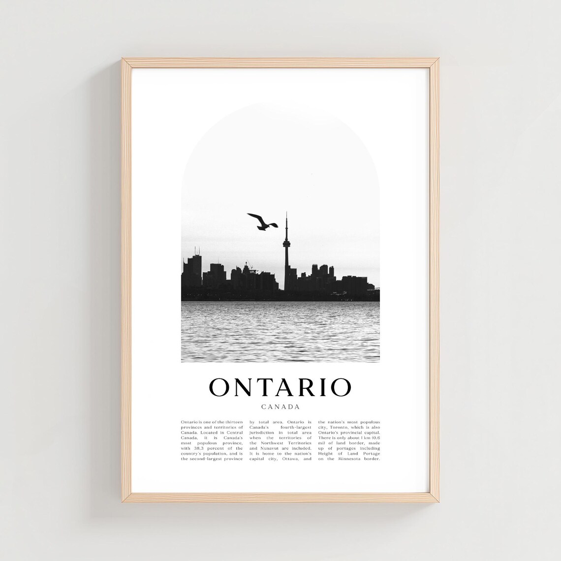 Ontario Canada Toronto Skyline Seagull Black White Arch Photo Poster