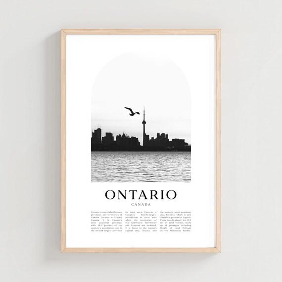 Ontario Canada Toronto Skyline Seagull Black White Arch Photo Poster