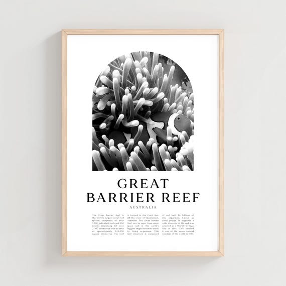 Great Barrier Reef Travel Poster Print Wall Art Australia City Gift Cn77m