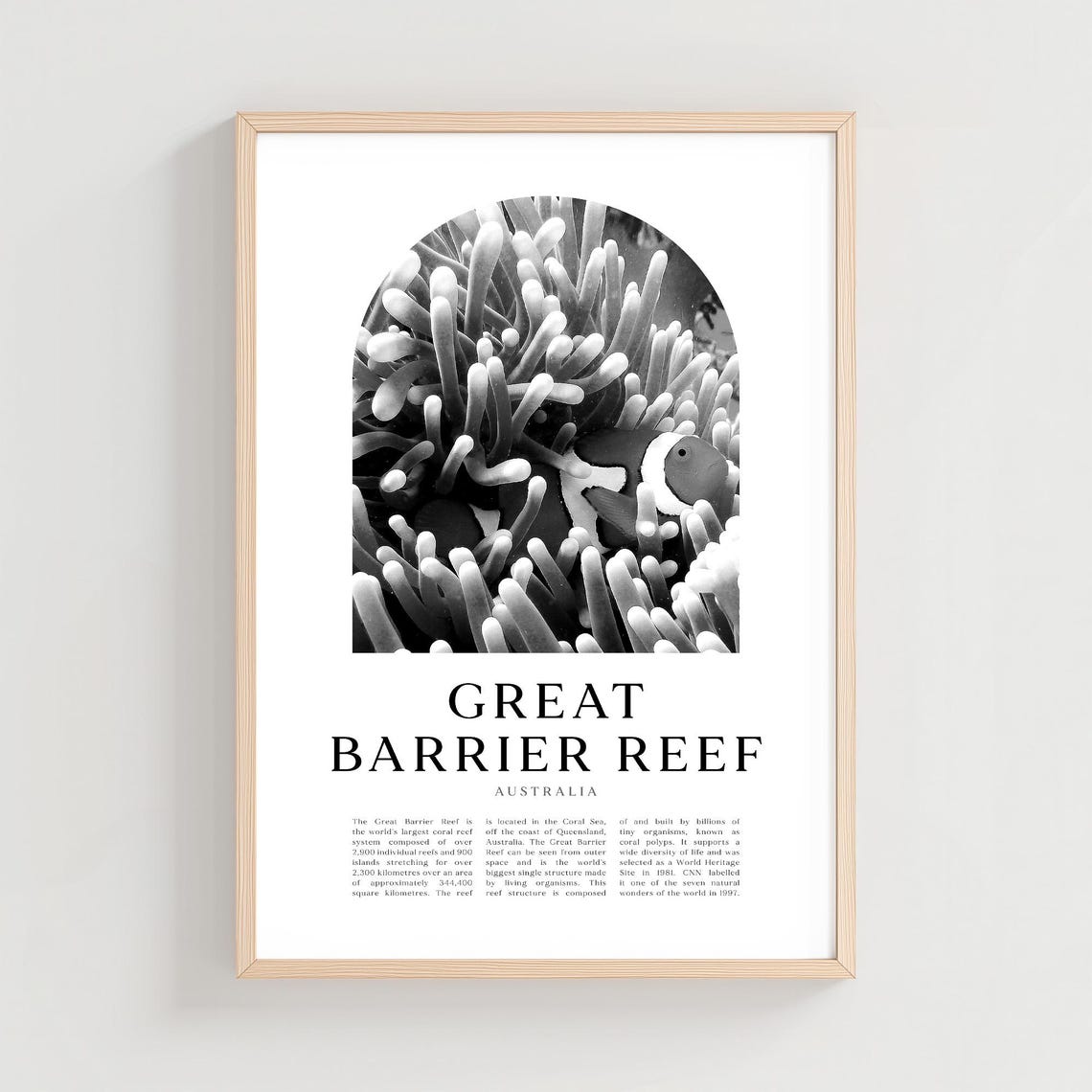 Great Barrier Reef Clownfish Anemone Arch Black and White Poster