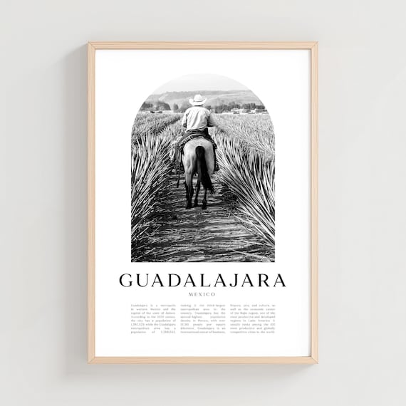 Guadalajara Travel Poster Print Wall Art Mexico City Gift Decor Na205m