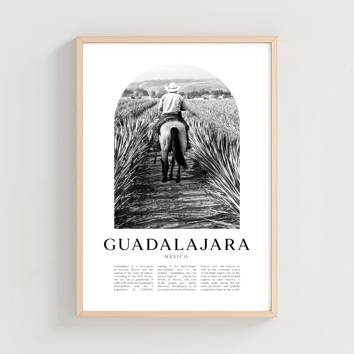 Guadalajara Mexico Cowboy on Horse in Agave Field Photo Poster