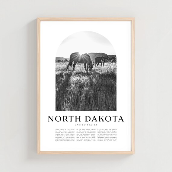 North Dakota Wild Horses Sunrise Black And White Travel Poster