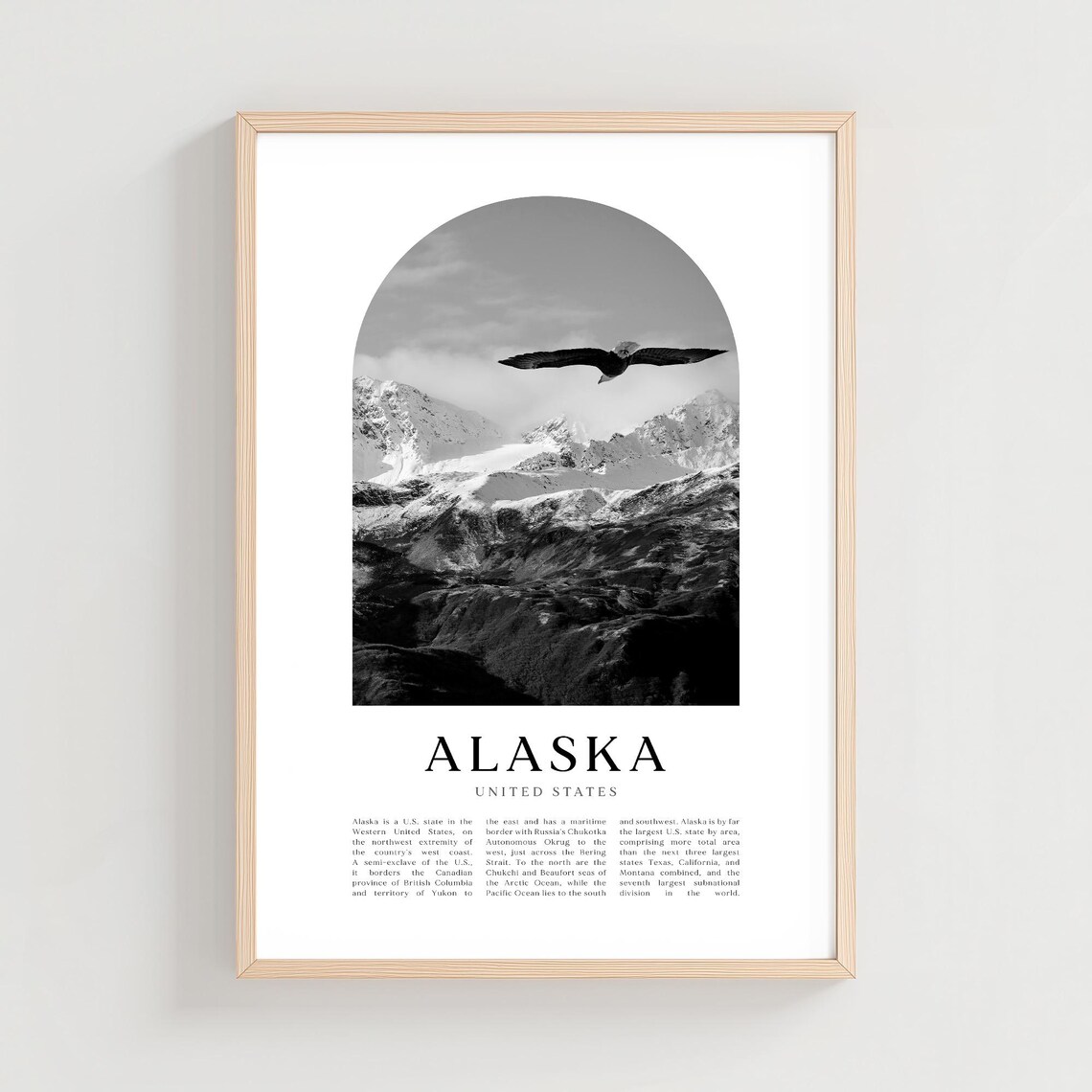 Alaska Black White Eagle Flying Over Snowy Mountain Peaks Poster