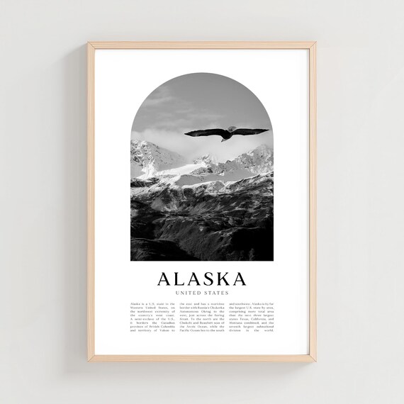 Alaska Black White Eagle Flying Over Snowy Mountain Peaks Poster