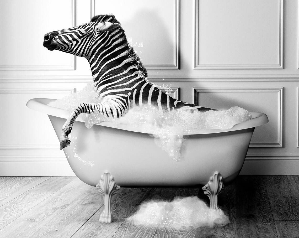 Cute Zebra In Tub Bathroom Wall Art Print - Image 2