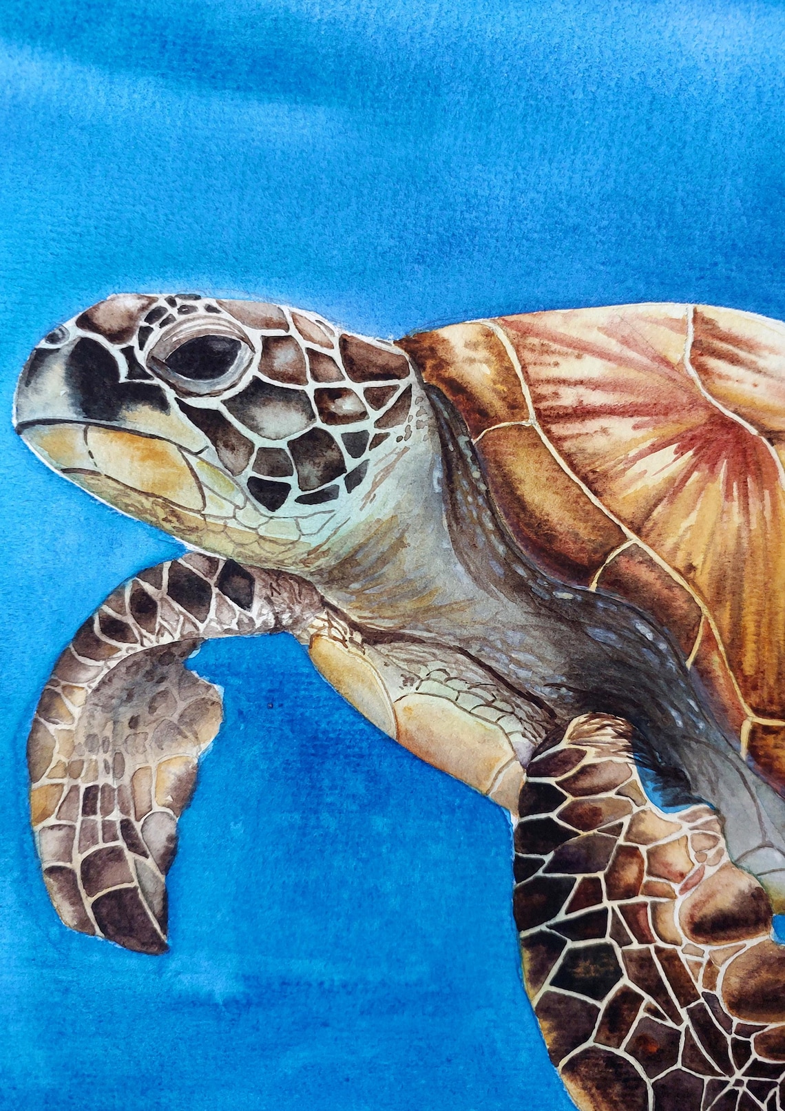 Sea Turtle Watercolor Art Print, Ocean Wall Art - Image 2