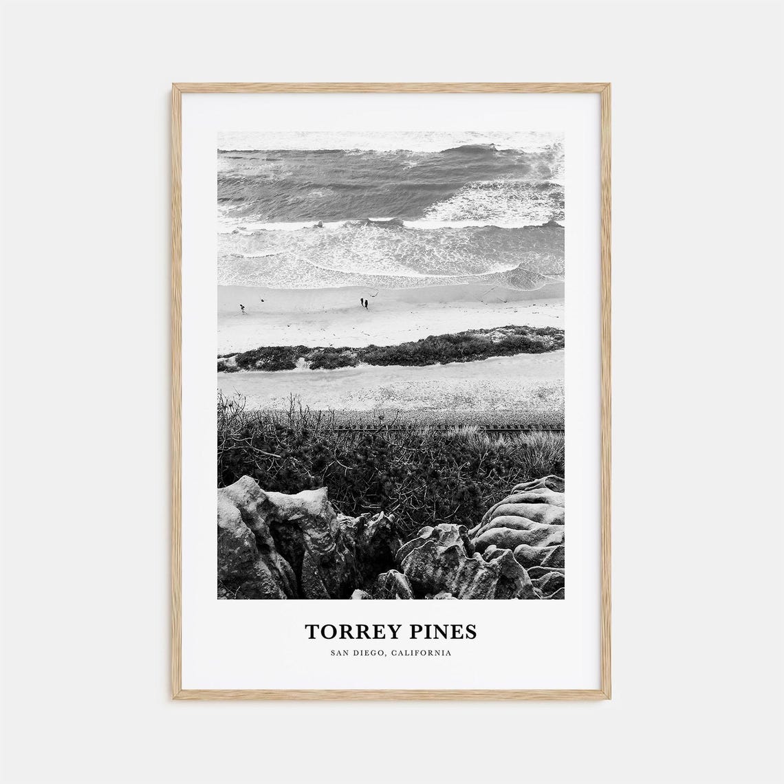 Torrey Pines San Diego Beach Cliffs Aerial Black and White Poster