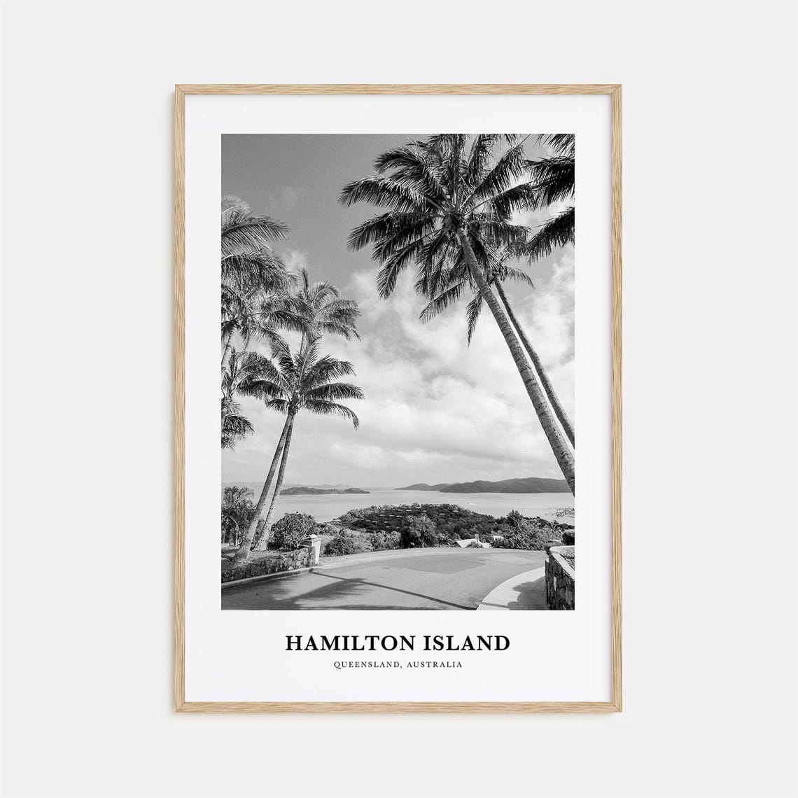 Hamilton Island Queensland Palm Trees Overlook Black White Poster