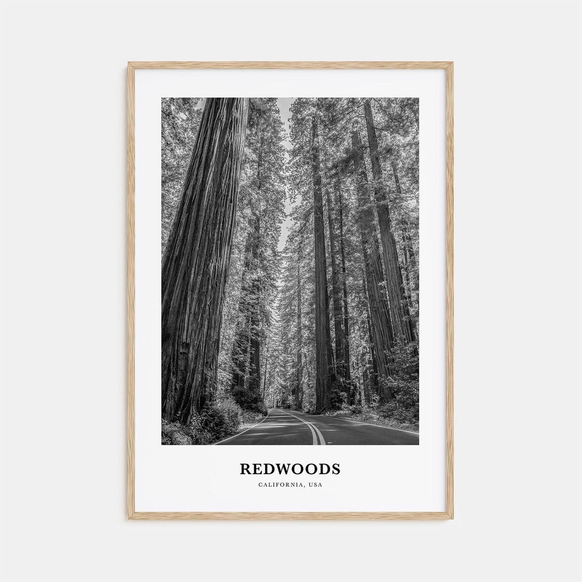 California Redwoods Road Black and White Forest Nature Poster