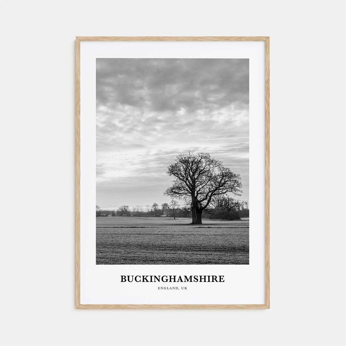 Buckinghamshire Lone Oak Field Countryside Black and White Poster