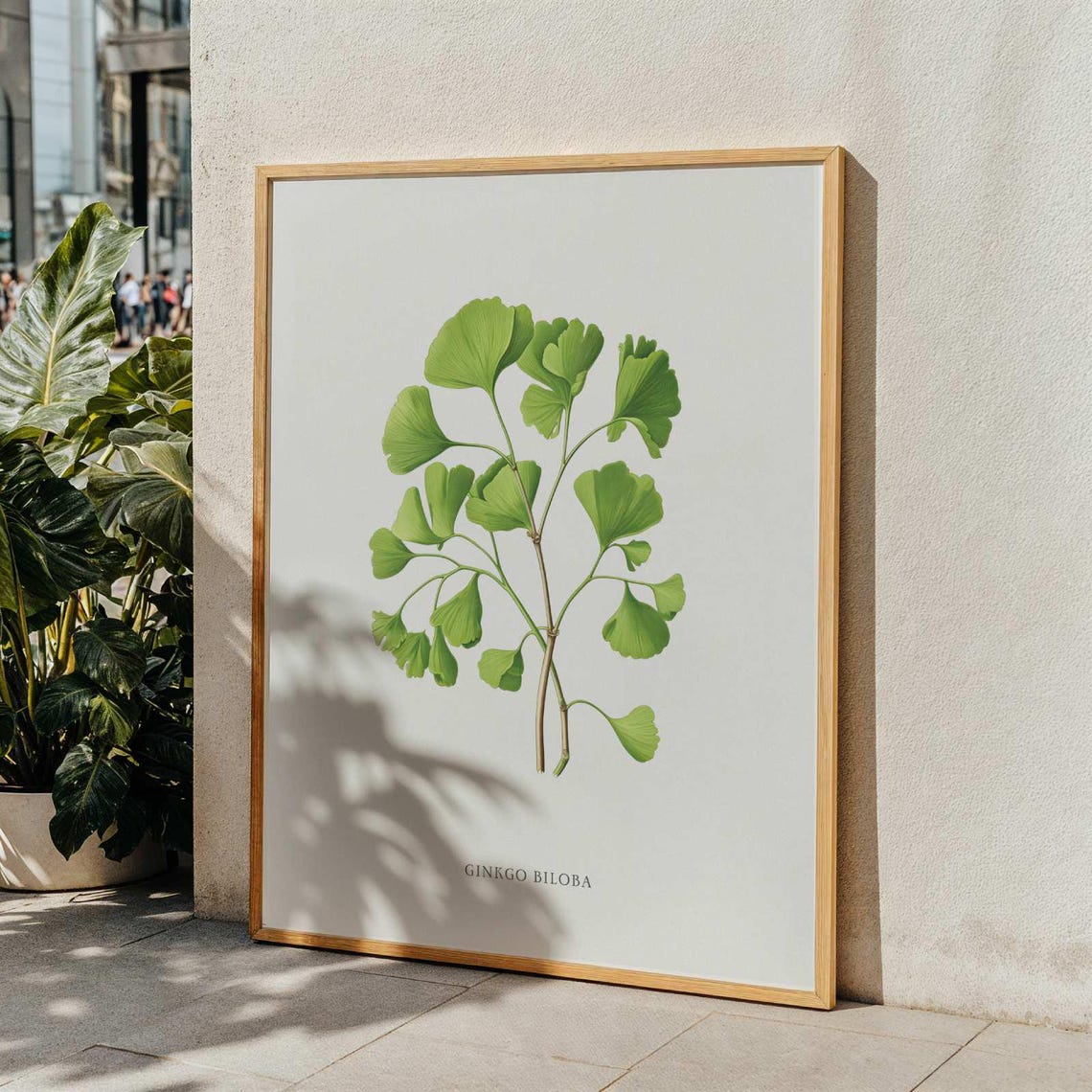 Ginkgo Biloba Green Leaves Botanical Vintage Decorative Art Poster
