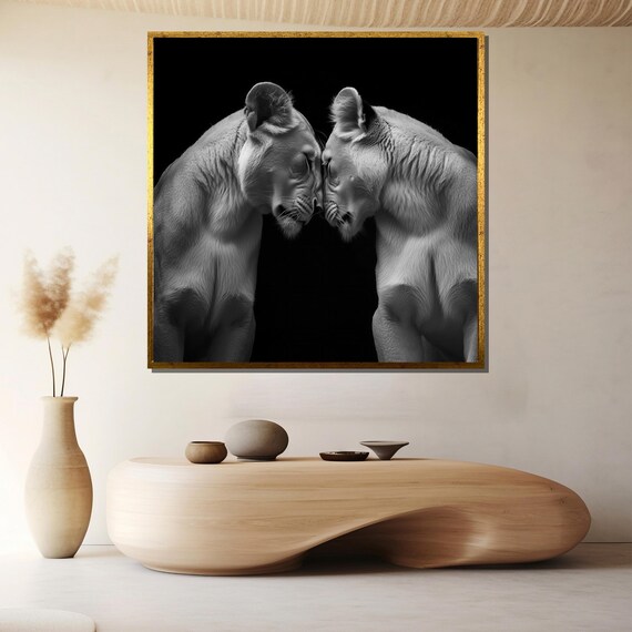White Lioness Duo Nose To Nose Striking Black Background Poster