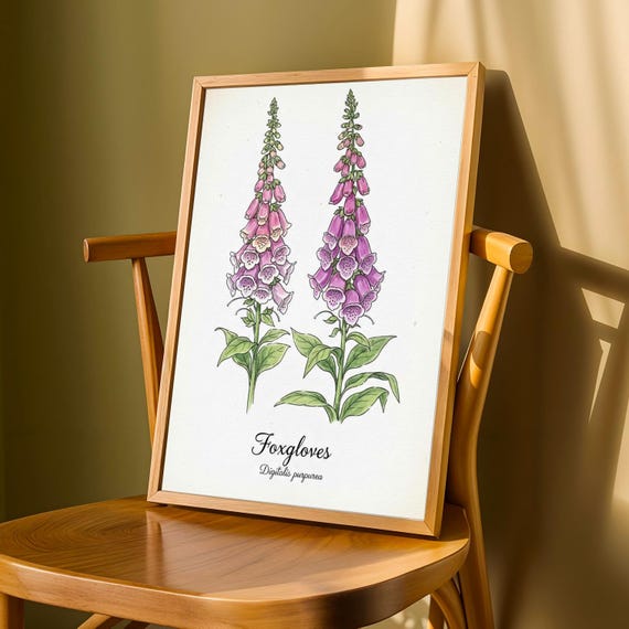 Vintage Foxgloves Botanical Print Watercolor Floral Illustration
