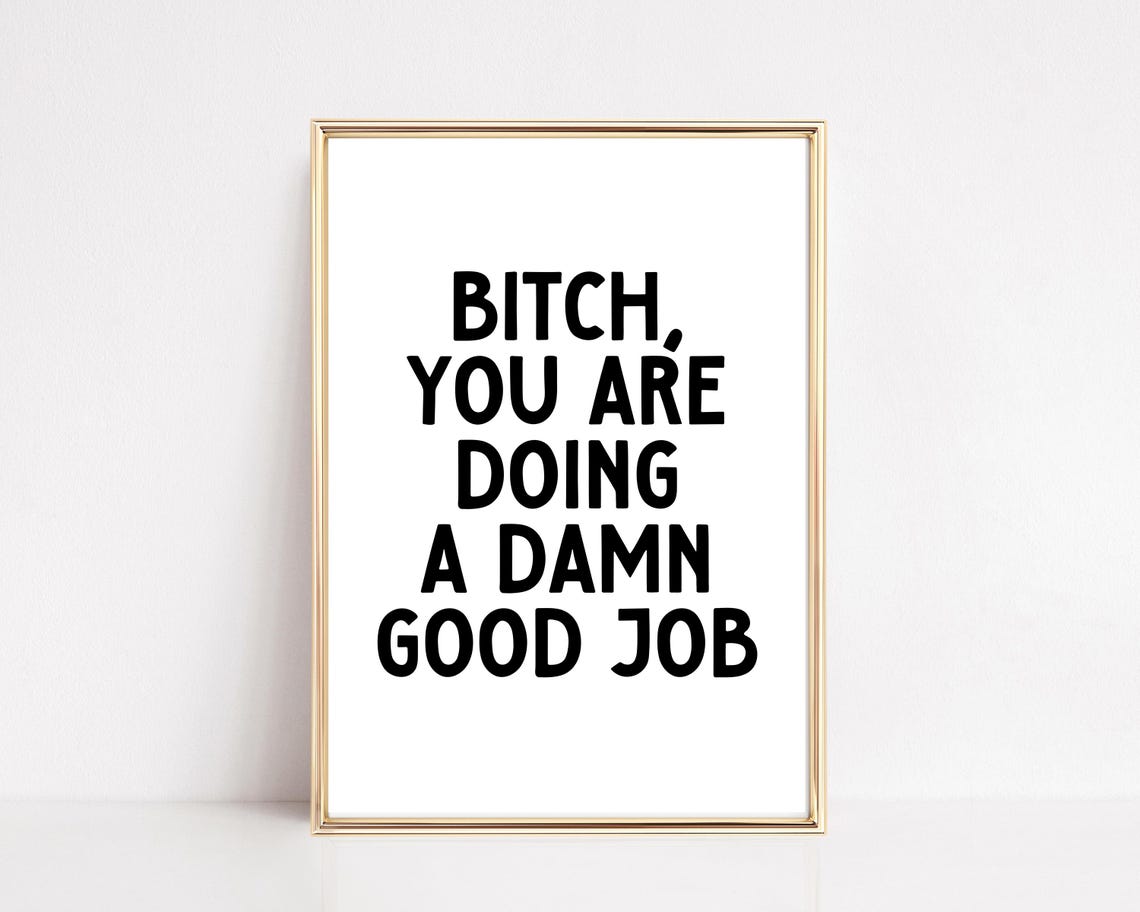 Funny Motivational Quote Bitch You Are Doing A Damn Good Job Poster