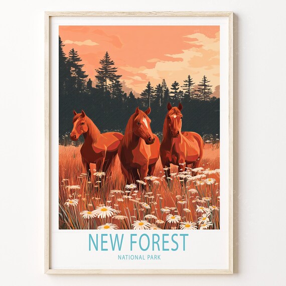 New Forest National Park Horses Daisy Field Sunset Art Poster