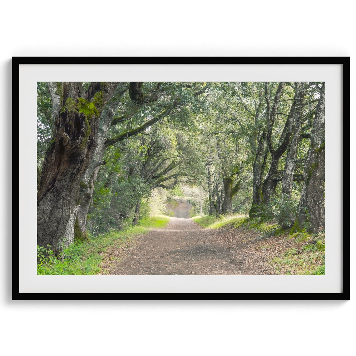 Oak Tree Tunnel Woodland Path Moss Dappled Light Forest Walk Poster - Image 5