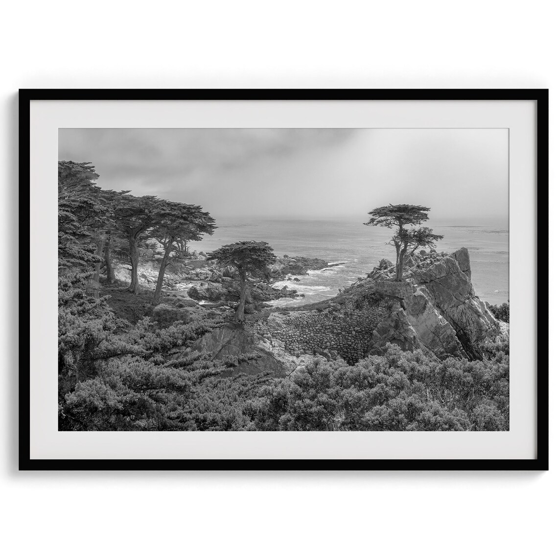 Lone Cypress Tree, Monterey Coastal Wall Art Print