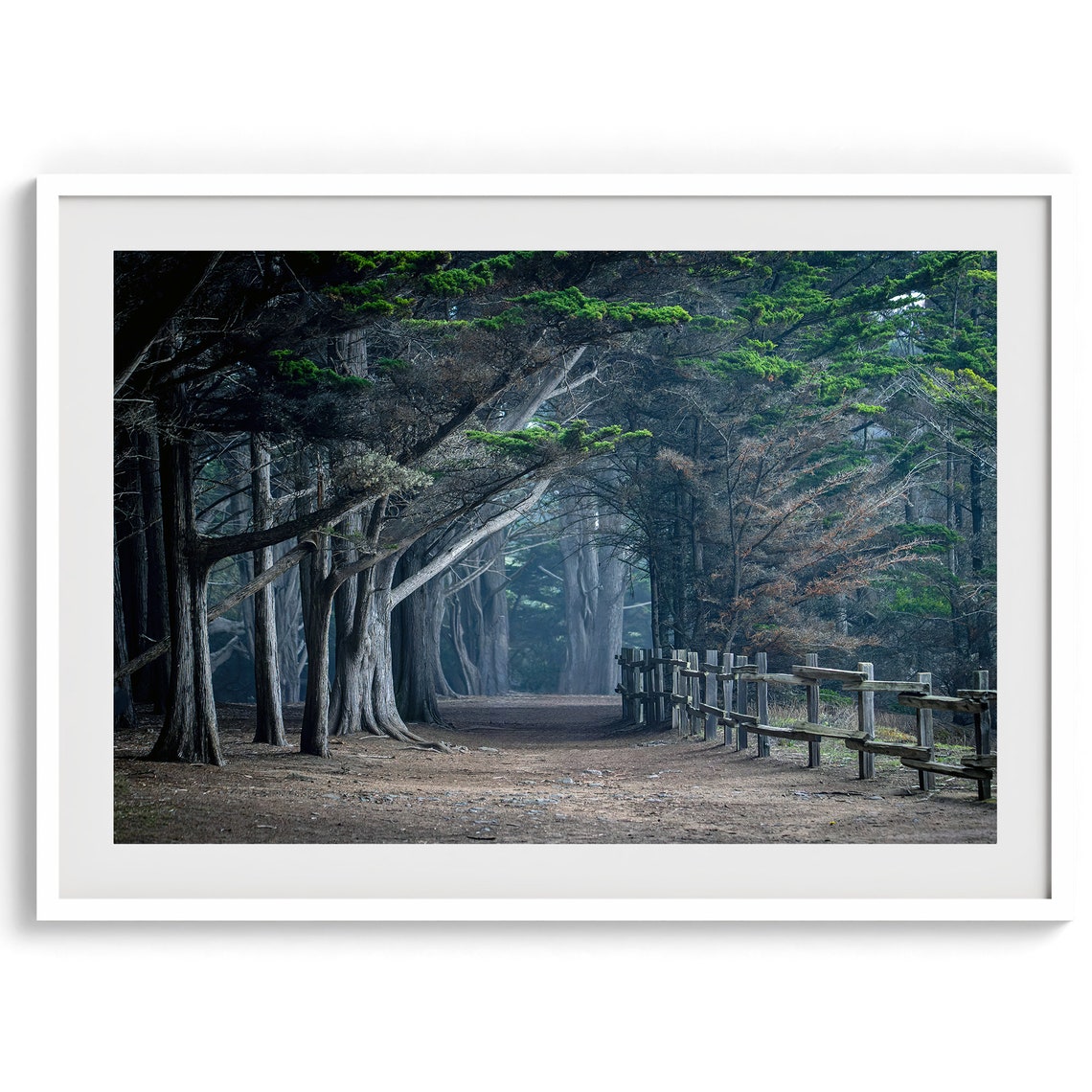 Cypress Tree Tunnel Dark Forest Path Moody Woodland Landscape Print - Image 2