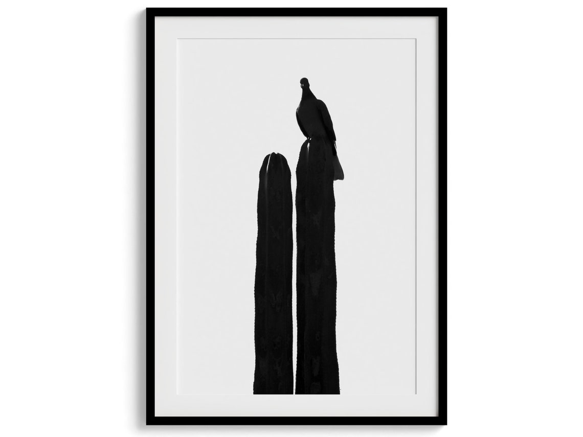 Bird Silhouette On Cactus Black And White Minimalist Desert Print - Image 5