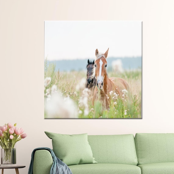Two Horses Meadow Wildflowers Photography Nature Decor Poster