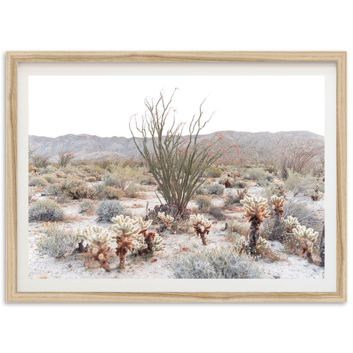 Desert Photography Print, Southwest Cactus Landscape