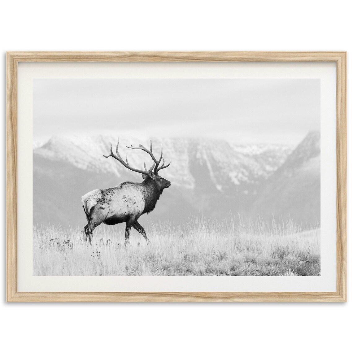 Elk Black And White Landscape, Wildlife Art Print