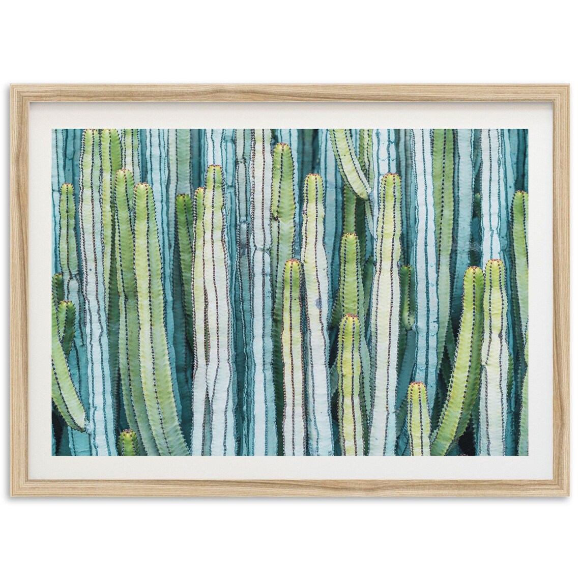 Cactus Desert Southwest Fine Art Art Print
