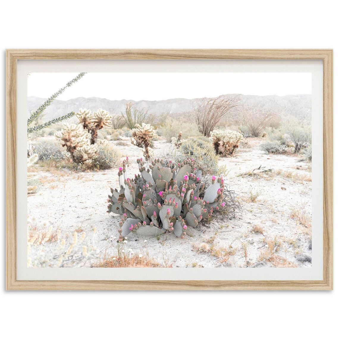 Anza-Borrego Desert Superbloom Art Print