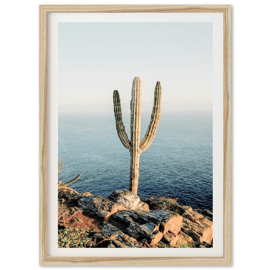 Tall Cactus On Rocky Ocean Cliff Coastal Desert Photography Poster