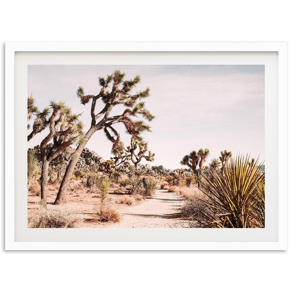 Joshua Tree Desert Trail Through Mojave Yucca Landscape Poster