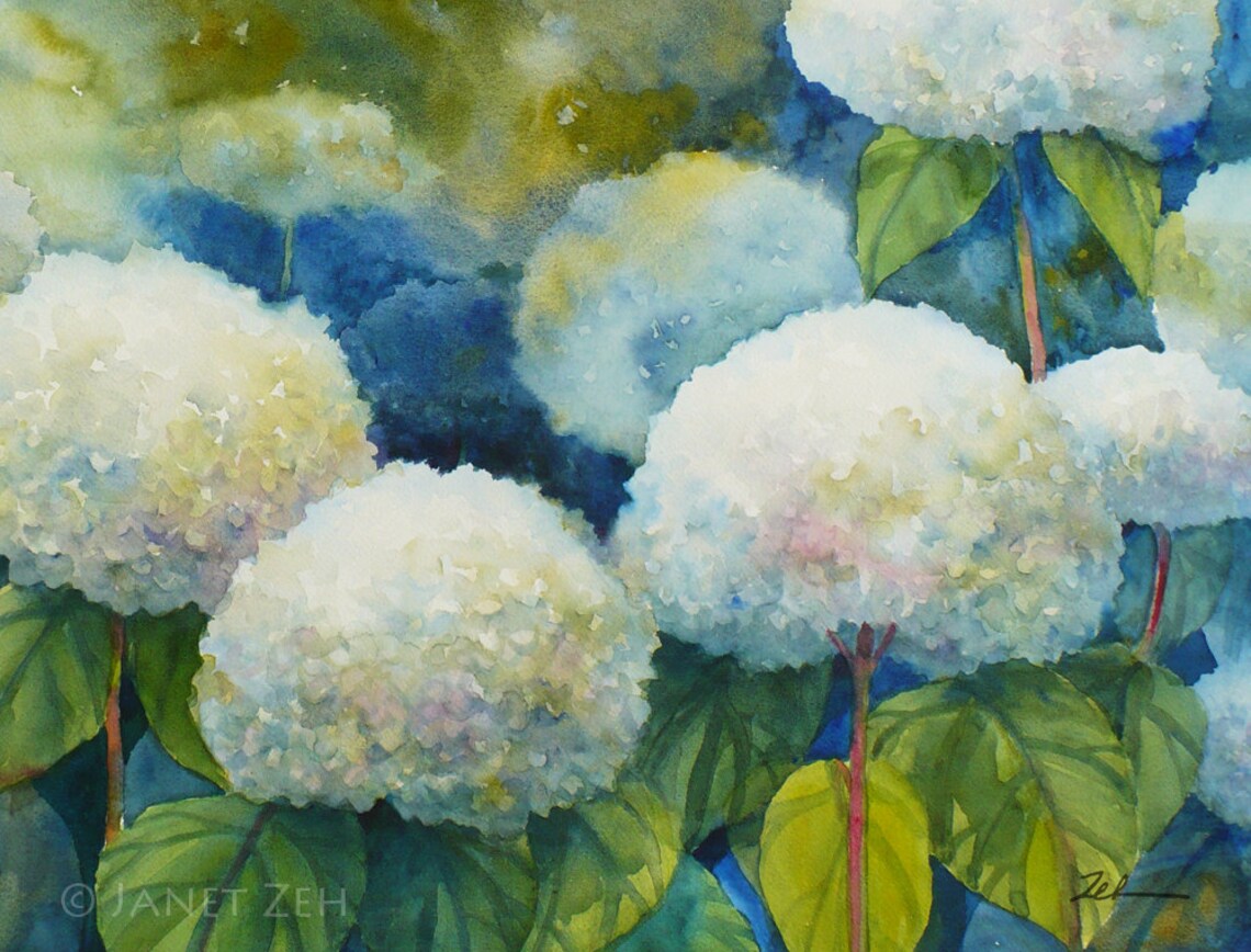 Annabelle Hydrangeas Art Print, Watercolor Floral