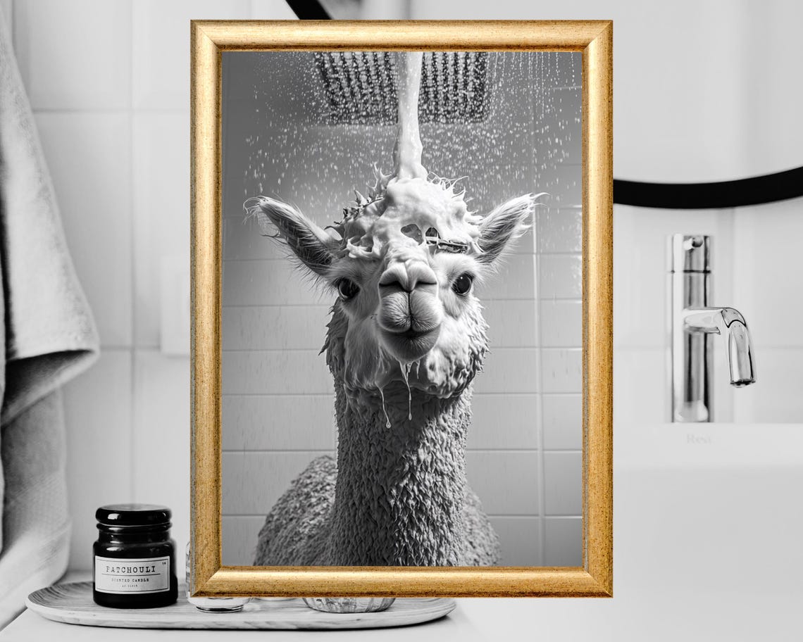 Funny Alpaca Under the Shower with Soap Suds Bathroom Poster