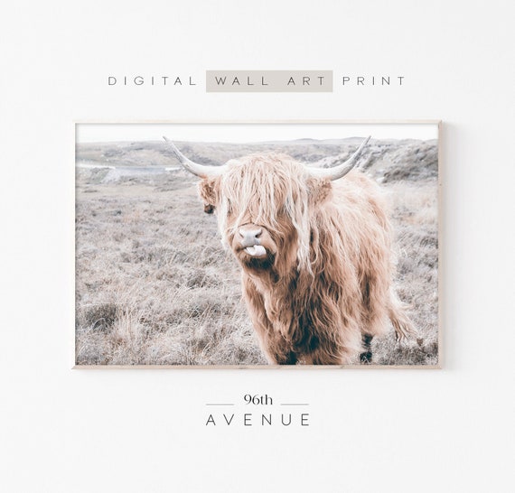 Highland Cow Art Print, Farm Nursery Decor