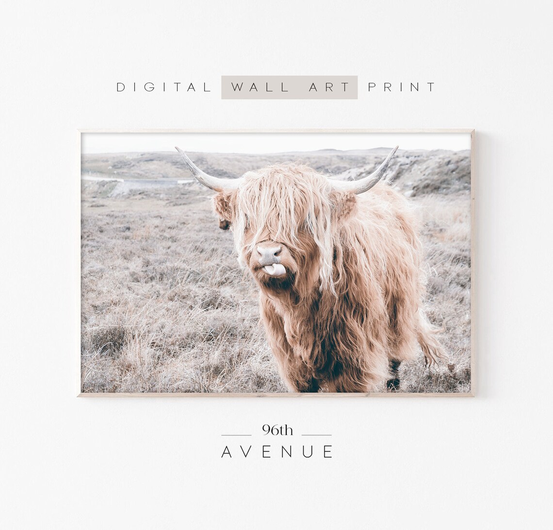 Highland Cow Art Print, Farm Nursery Decor