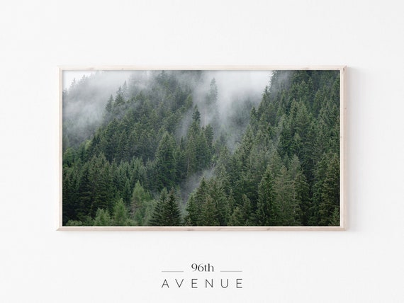 Frame Tv Art Forest Fog Tv Art Moody Forest Art Nature Photo