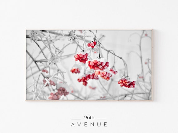 Frozen Red Berries and Ornaments Christmas Art Print