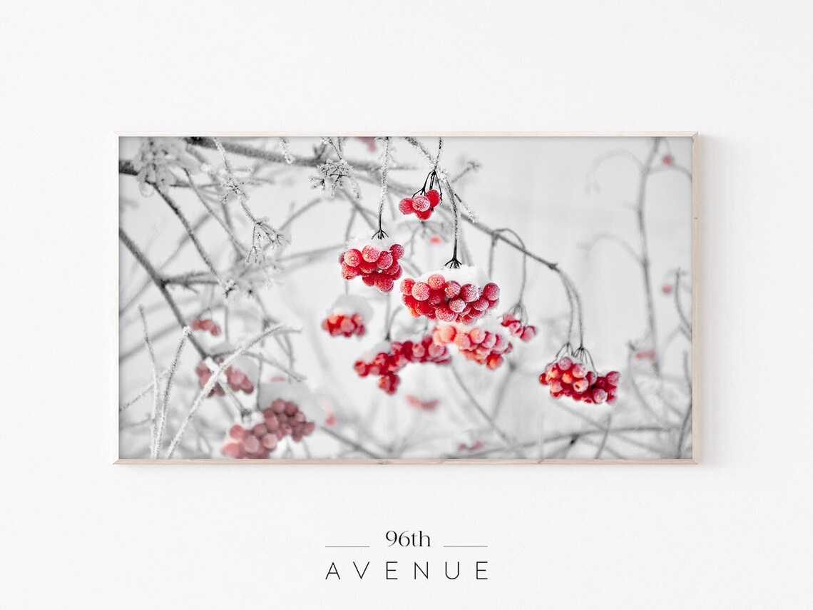 Frozen Red Berries and Ornaments Christmas Art Print