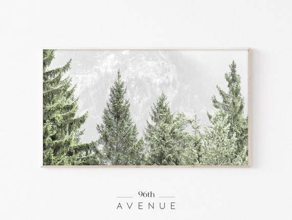 Pine Forest Trees Art Print, Nature Landscape